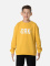 JACOB CREWNECK SWEATER BOY zltá